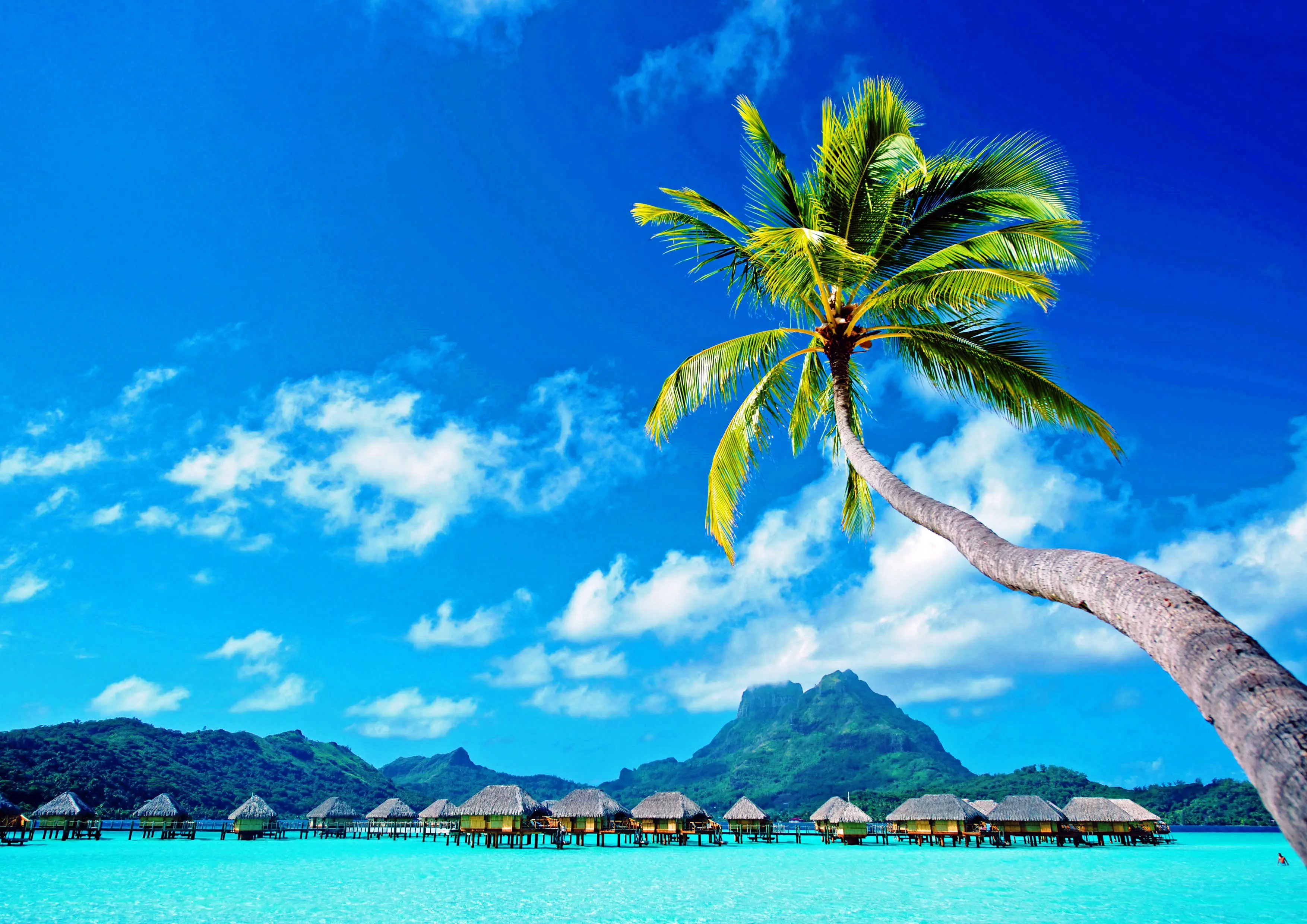 Discover the world with Globe Entrym